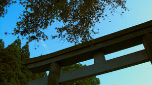 鈴虫寺 2007 復縁
